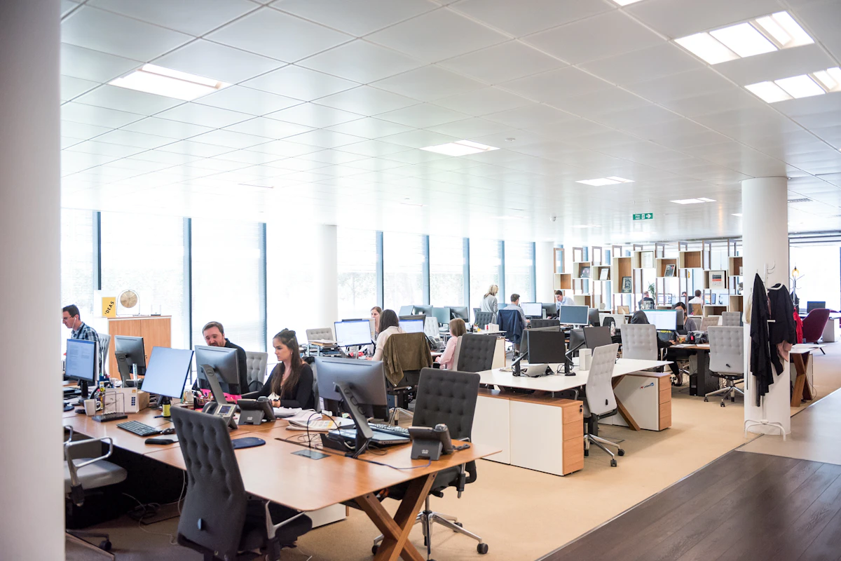 People working at desks in a bright open-plan office